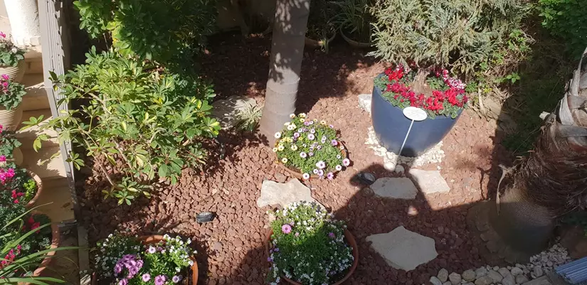 שדרוג גינה קיימת